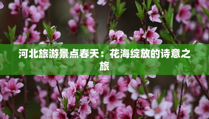 河北旅游景点春天：花海绽放的诗意之旅