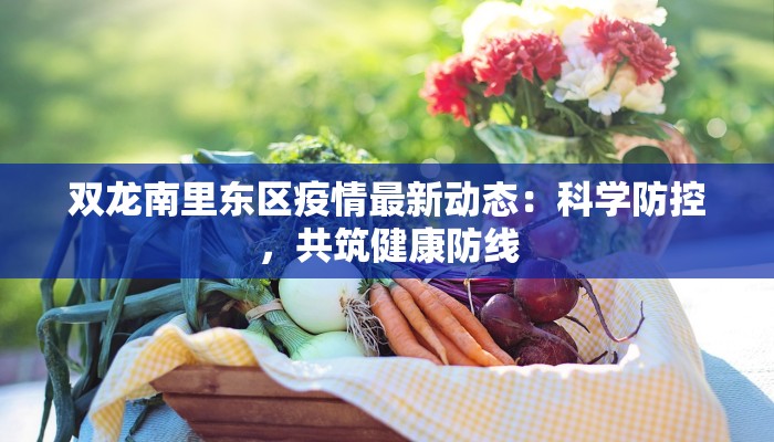 双龙南里东区疫情最新动态：科学防控，共筑健康防线