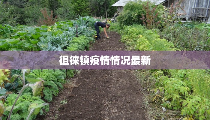 徂徕镇疫情情况最新