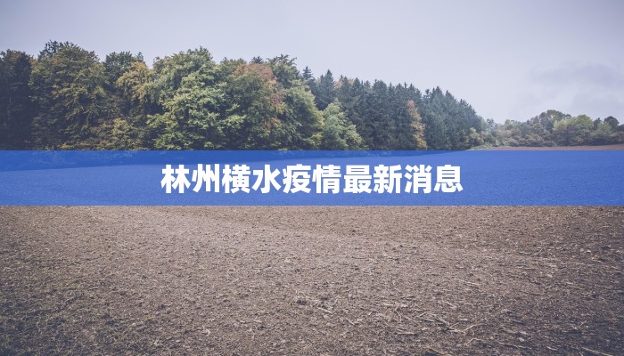 上海最新疫情逐步向好