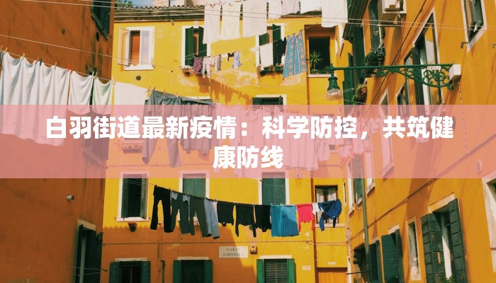 白羽街道最新疫情：科学防控，共筑健康防线