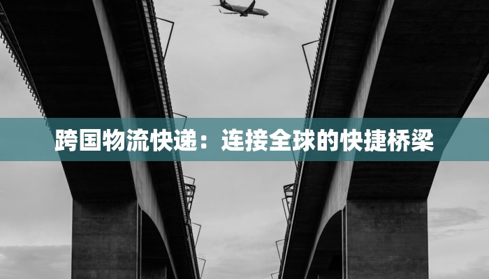 跨国物流快递：连接全球的快捷桥梁