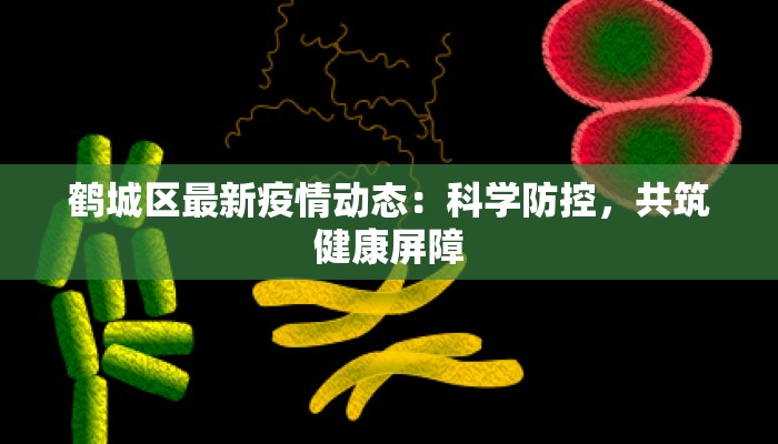 鹤城区最新疫情动态：科学防控，共筑健康屏障