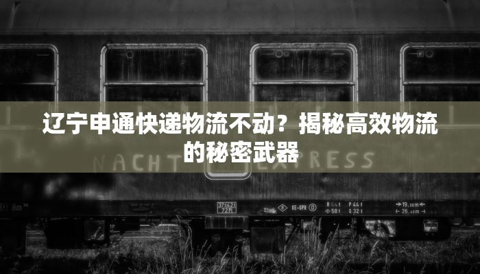 辽宁申通快递物流不动？揭秘高效物流的秘密武器