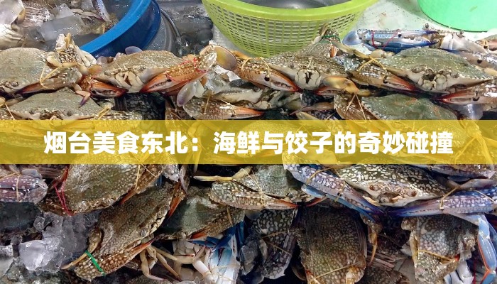 烟台美食东北：海鲜与饺子的奇妙碰撞