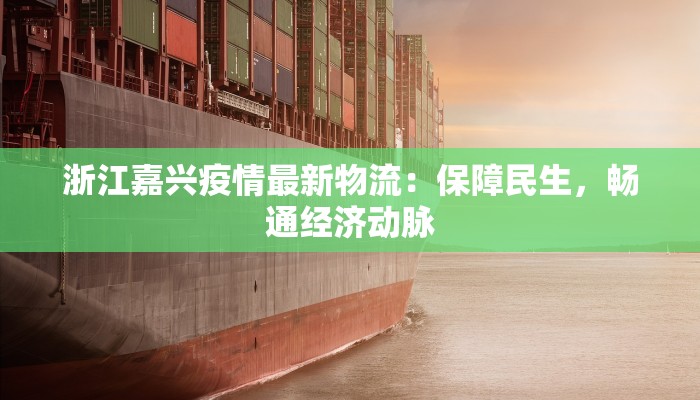 浙江嘉兴疫情最新物流：保障民生，畅通经济动脉
