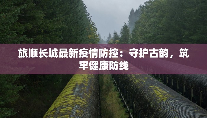 旅顺长城最新疫情防控：守护古韵，筑牢健康防线