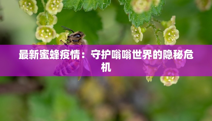 最新蜜蜂疫情：守护嗡嗡世界的隐秘危机