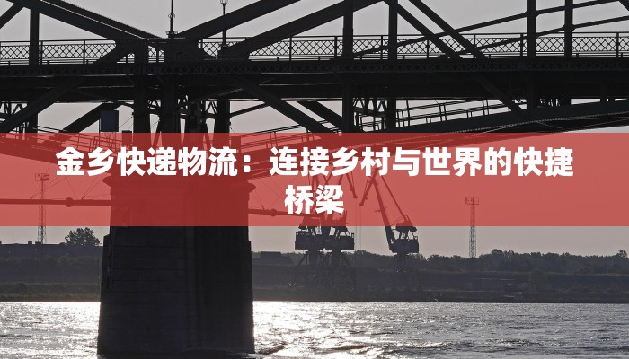 金乡快递物流：连接乡村与世界的快捷桥梁