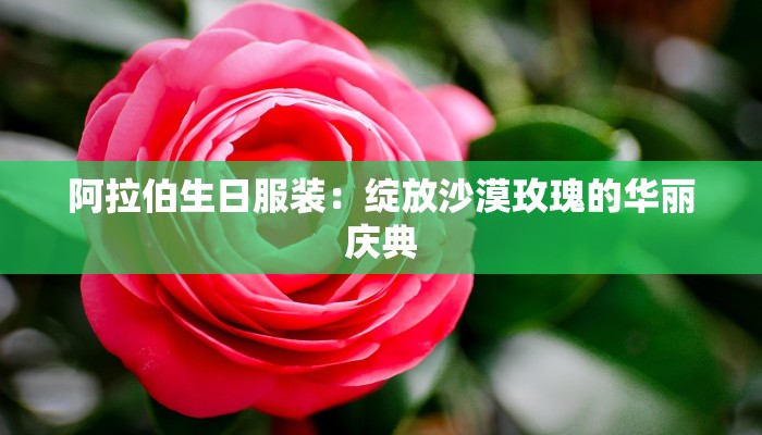 阿拉伯生日服装：绽放沙漠玫瑰的华丽庆典