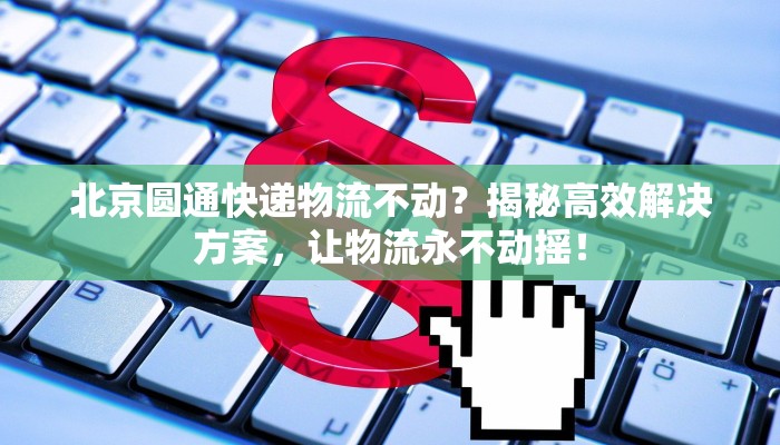 天津元旦疫情最新消息:科学防控,共筑平安新年 天津元旦疫情最新消息:科学防控,共筑平安新年