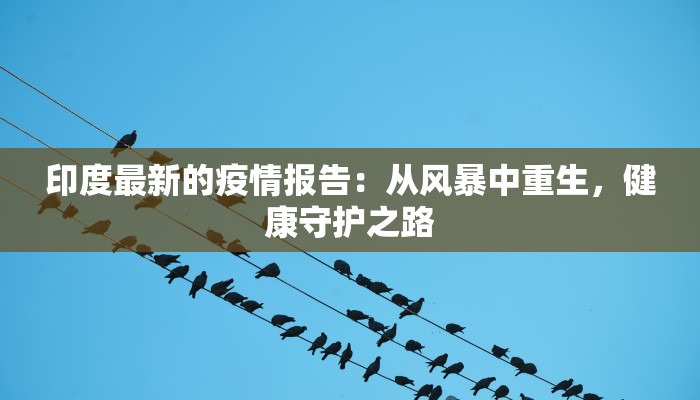 印度最新的疫情报告：从风暴中重生，健康守护之路